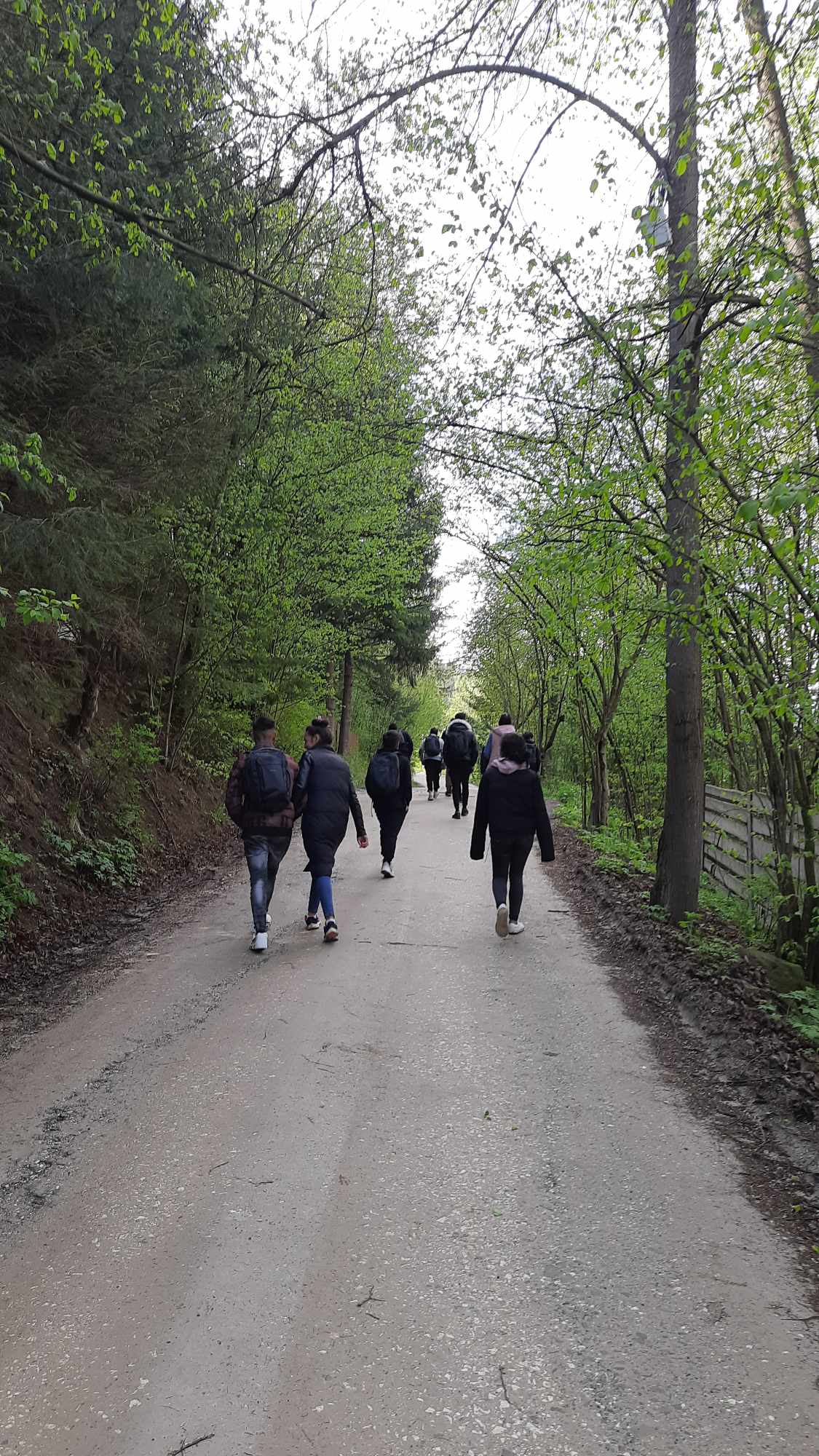 nature kép 3
